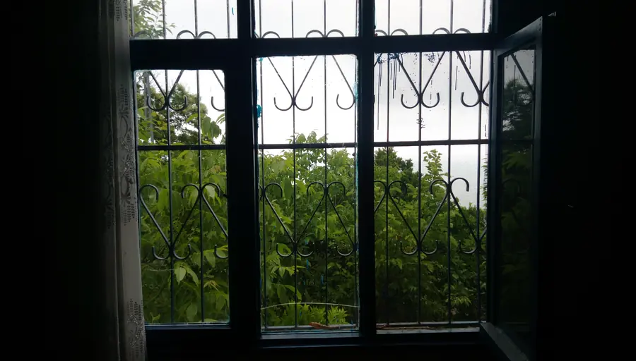 View of trees through a barred window